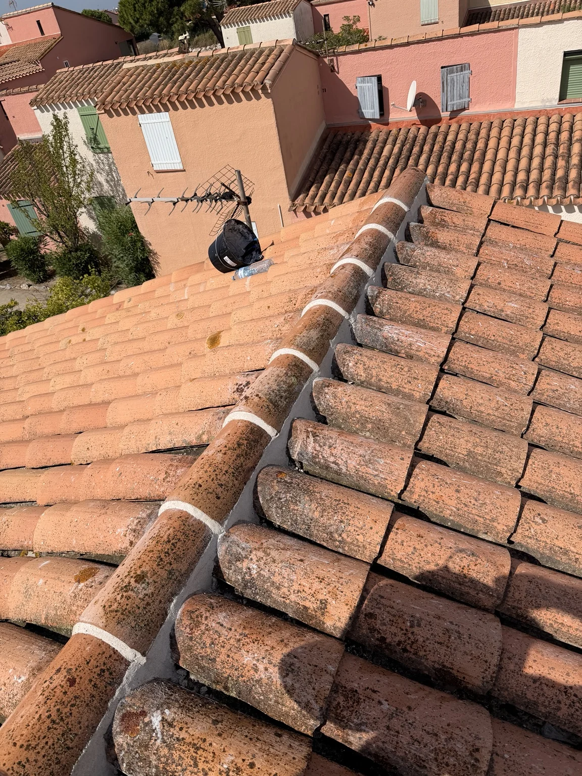 Rénovation de faîtage